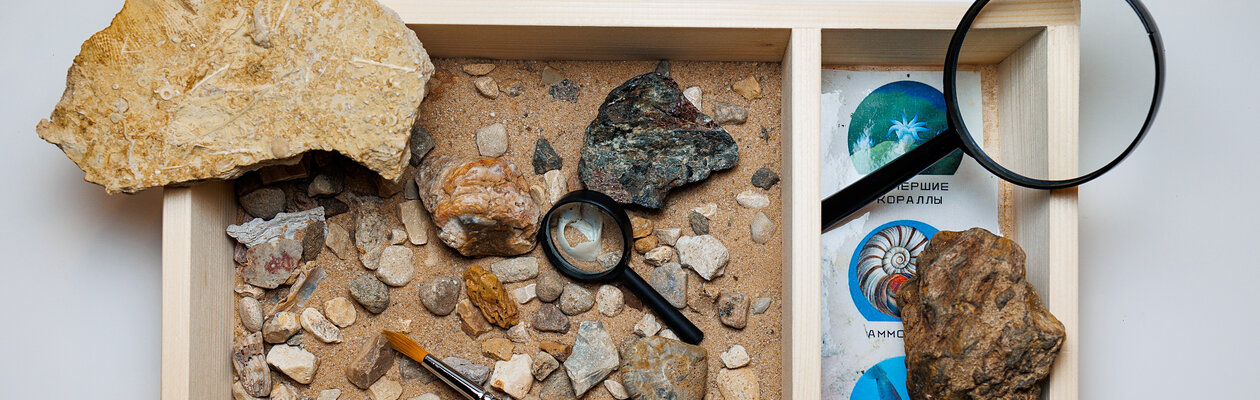 Охотники за окаменелостями