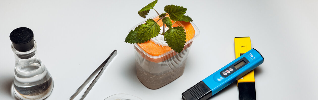 Сити-фермер