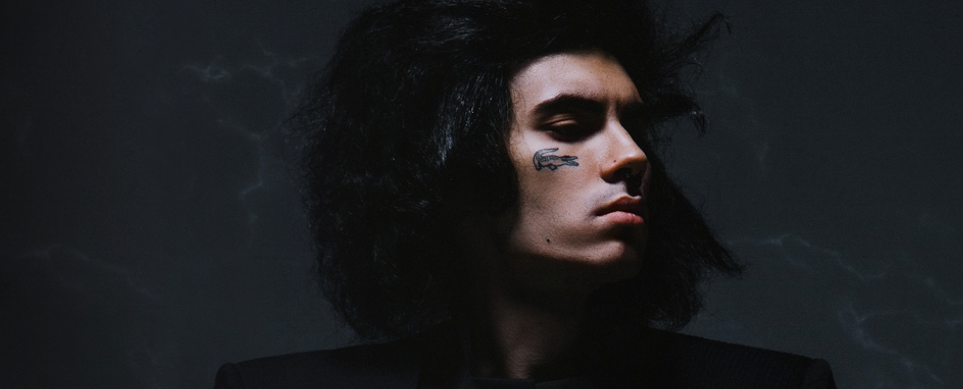 Коста лакоста картинки