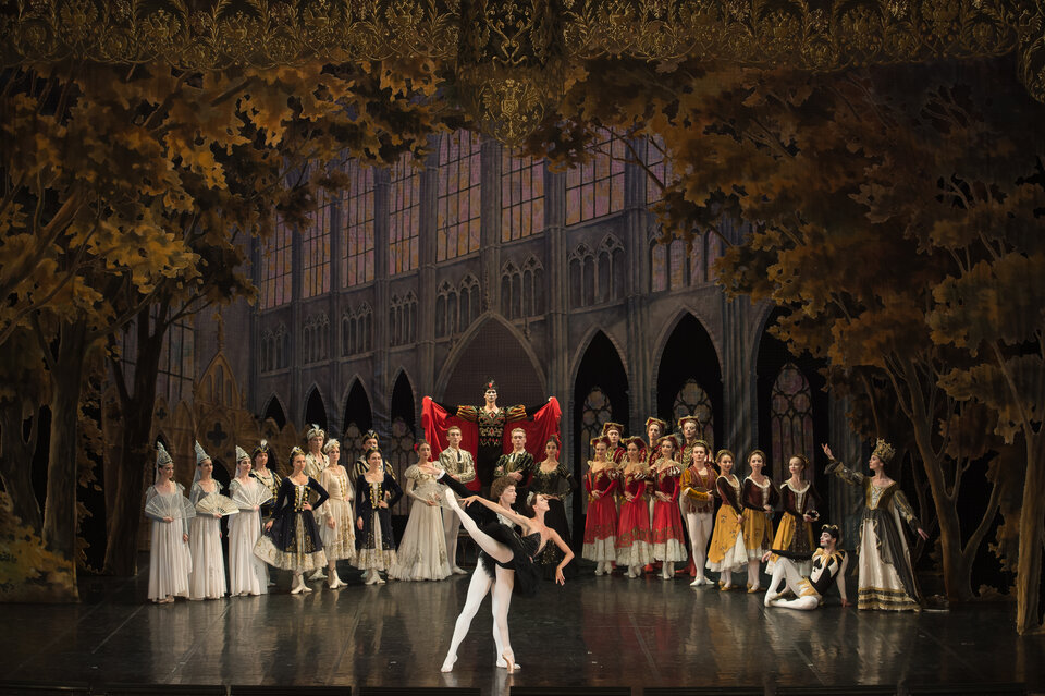 Лебединое озеро