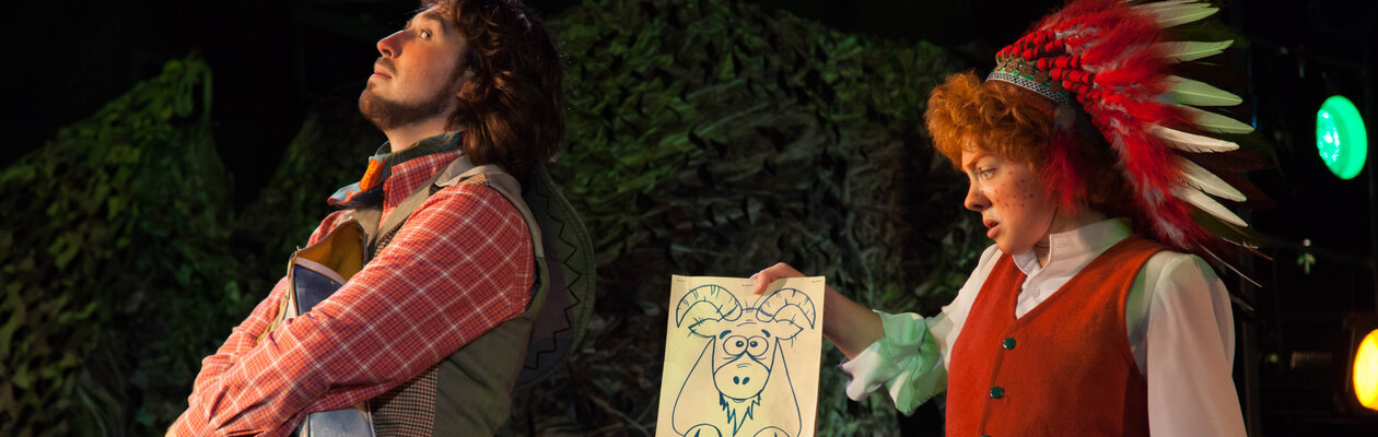 Вождь краснокожих