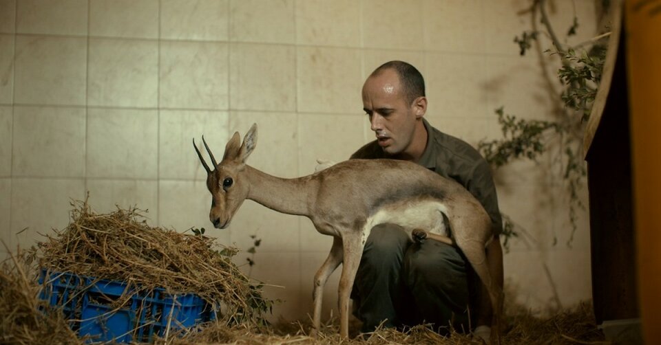 Святой Фёдор Томский. Тайна сибирского старца