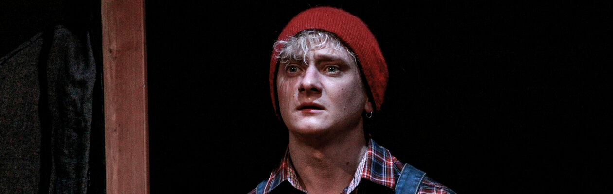 Чудесное путешествие Нильса с дикими гусями