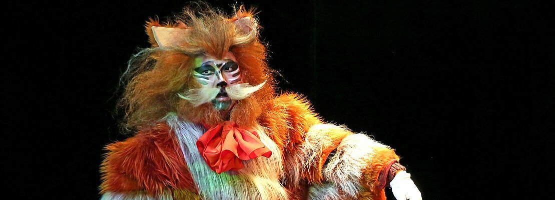 Кот в сапогах