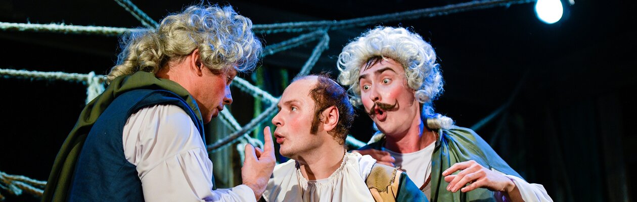 Лекарь поневоле