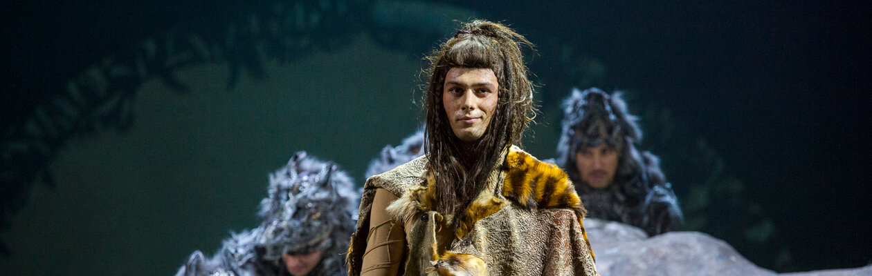 Книга джунглей. Маугли