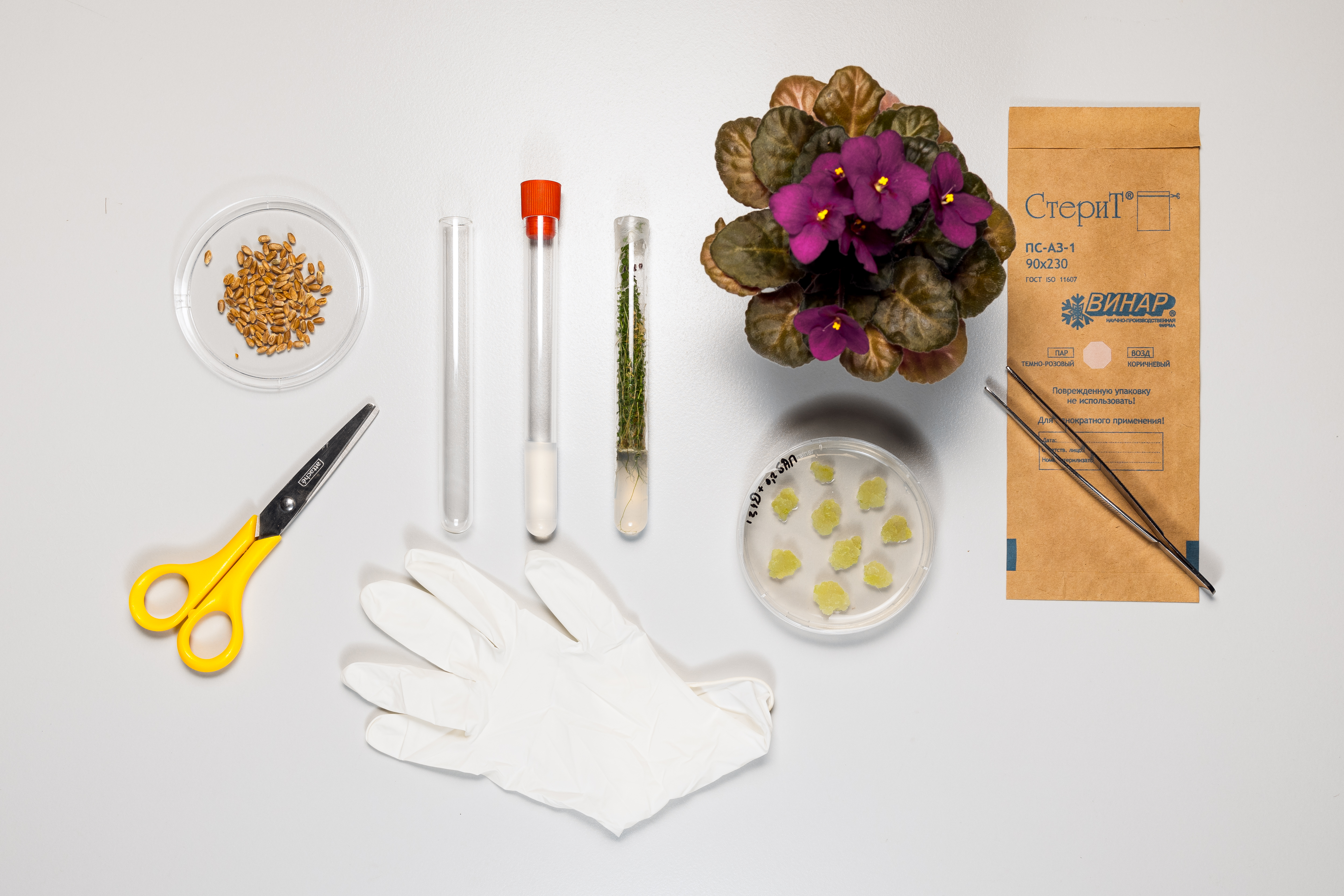 

Билеты на Космический сад (Зарядье)