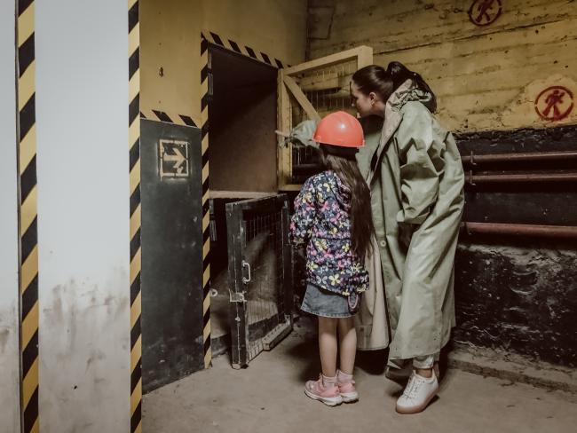 

Билеты на Чокнутый профессор (Дом квестов в Мышкинском)