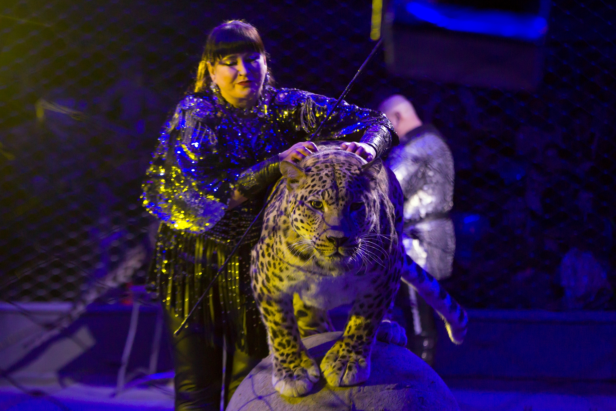 

Билеты на Цирк-шапито «Золотой дракон» (Цирк-шапито «Золотой дракон»)