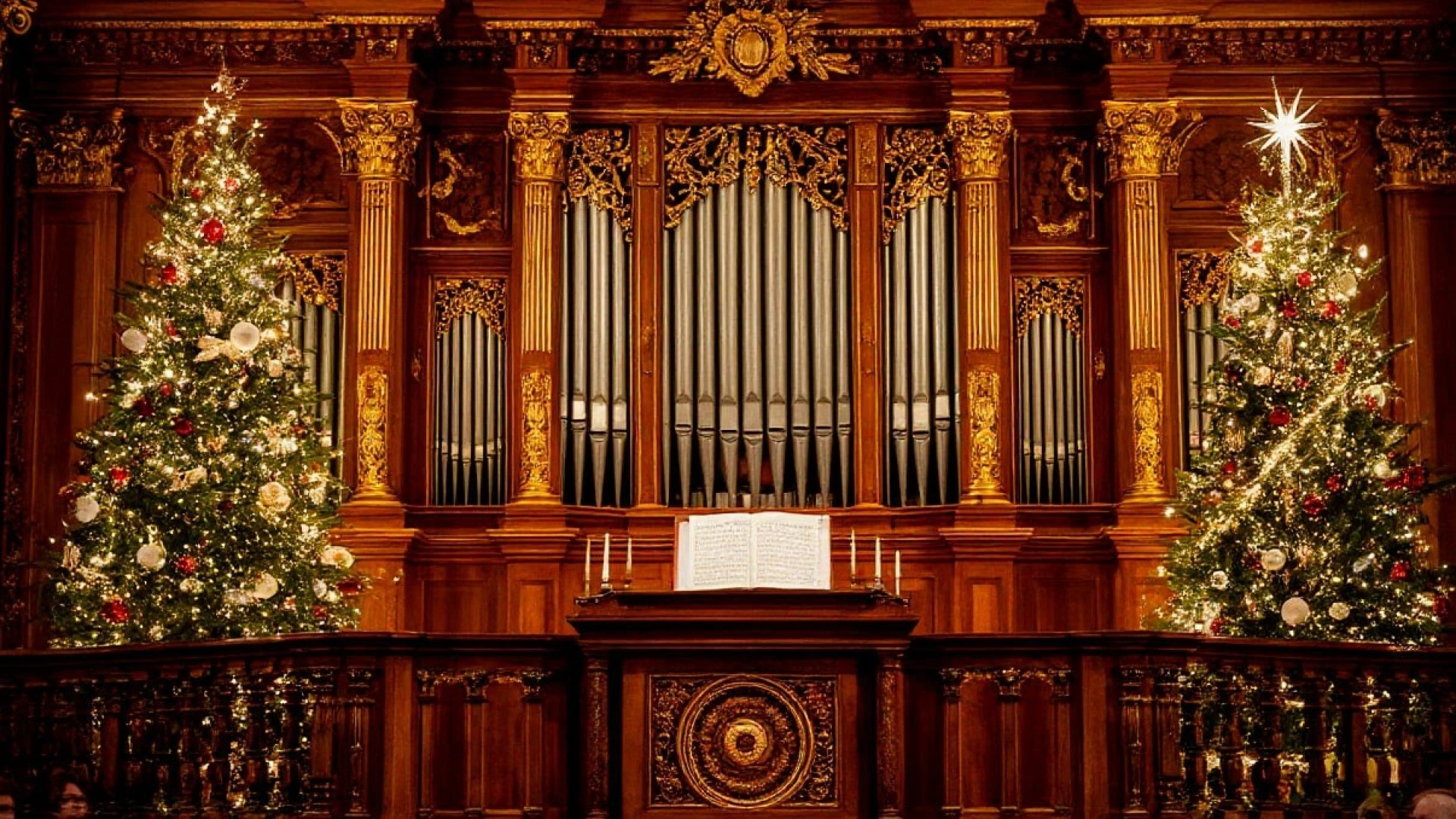 

Билеты на Орган при свечах: Ave Maria и мировые шедевры (Центр искусства и музыки библиотеки им. Маяковского)