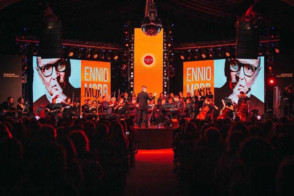 Ennio Morricone. Professional