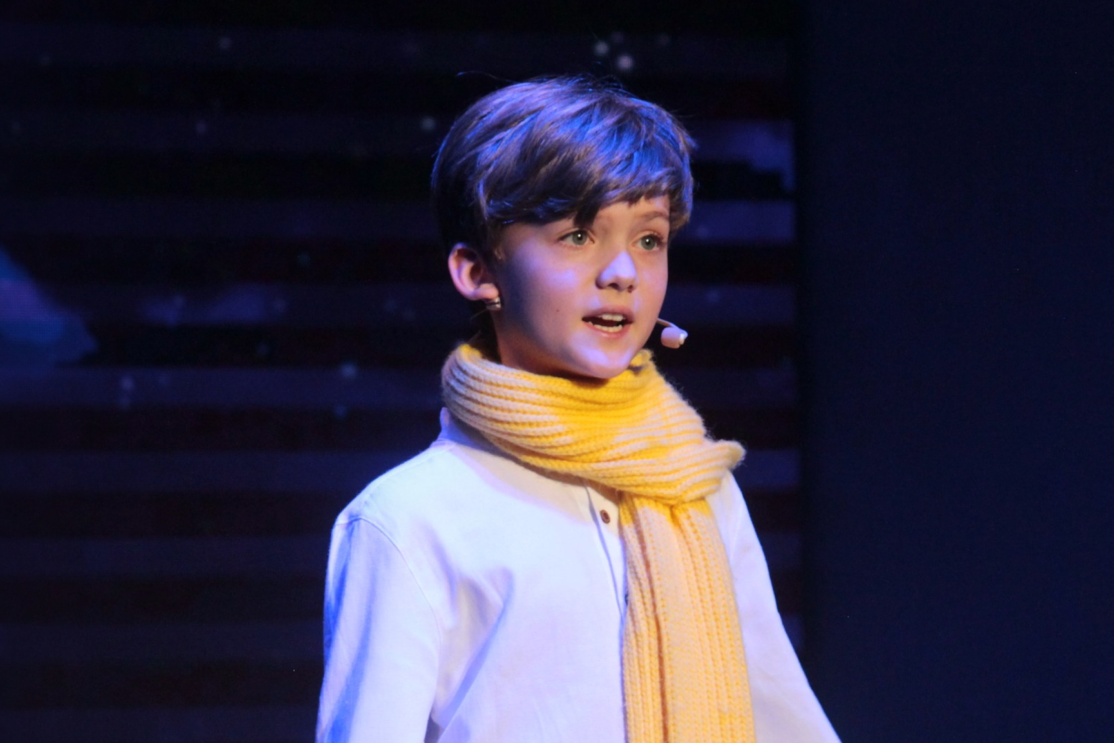 

Билеты на Маленький принц (Музей космонавтики)