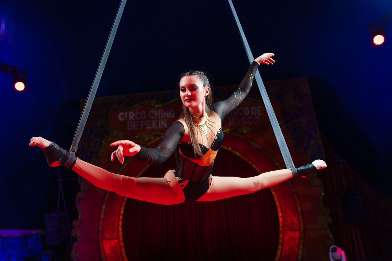 

Билеты на Новогодняя ёлка в цирке (Цирк в Автово)