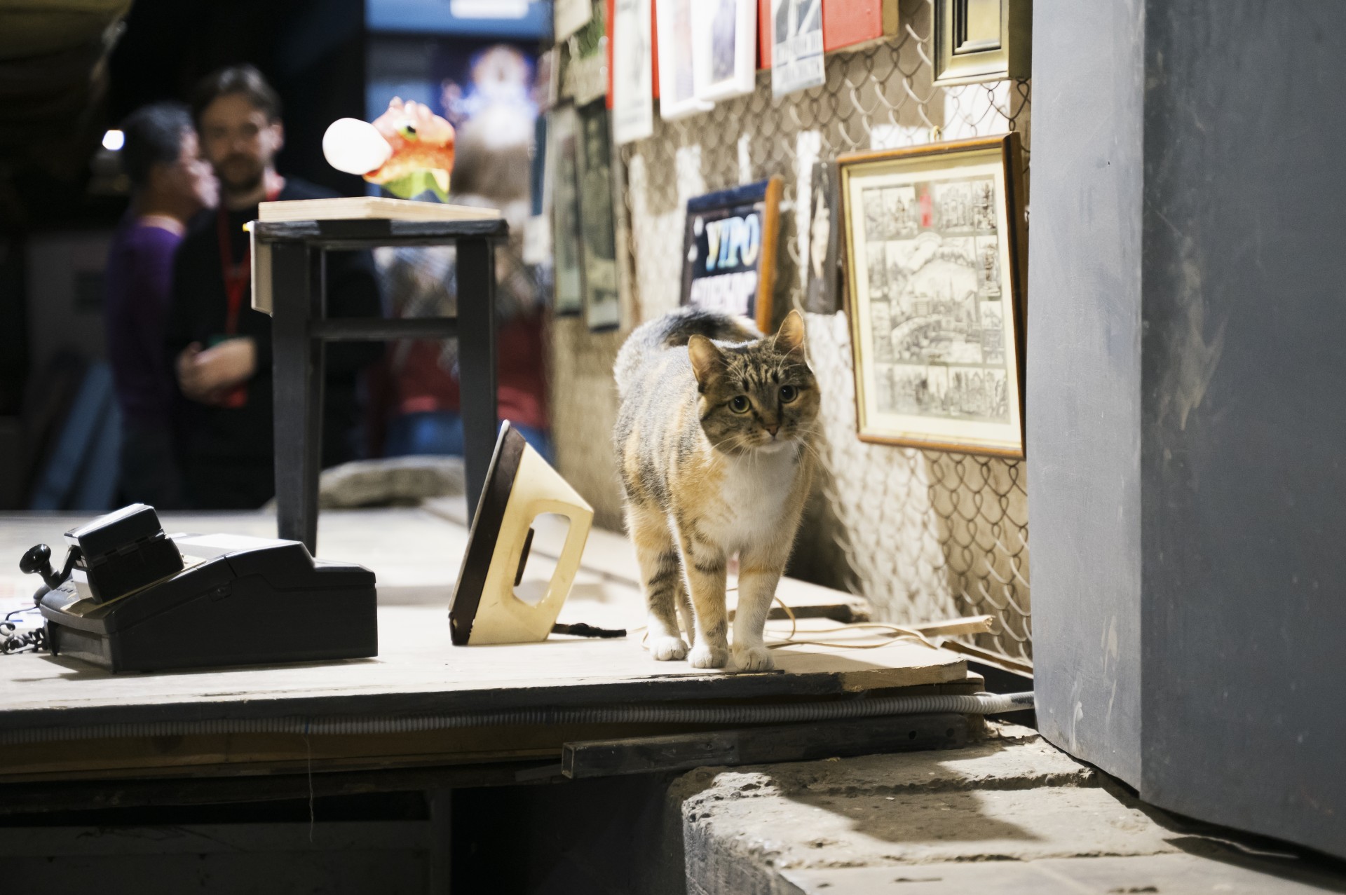 

Билеты на Предел прочности (Музейный центр «Площадь Мира»)