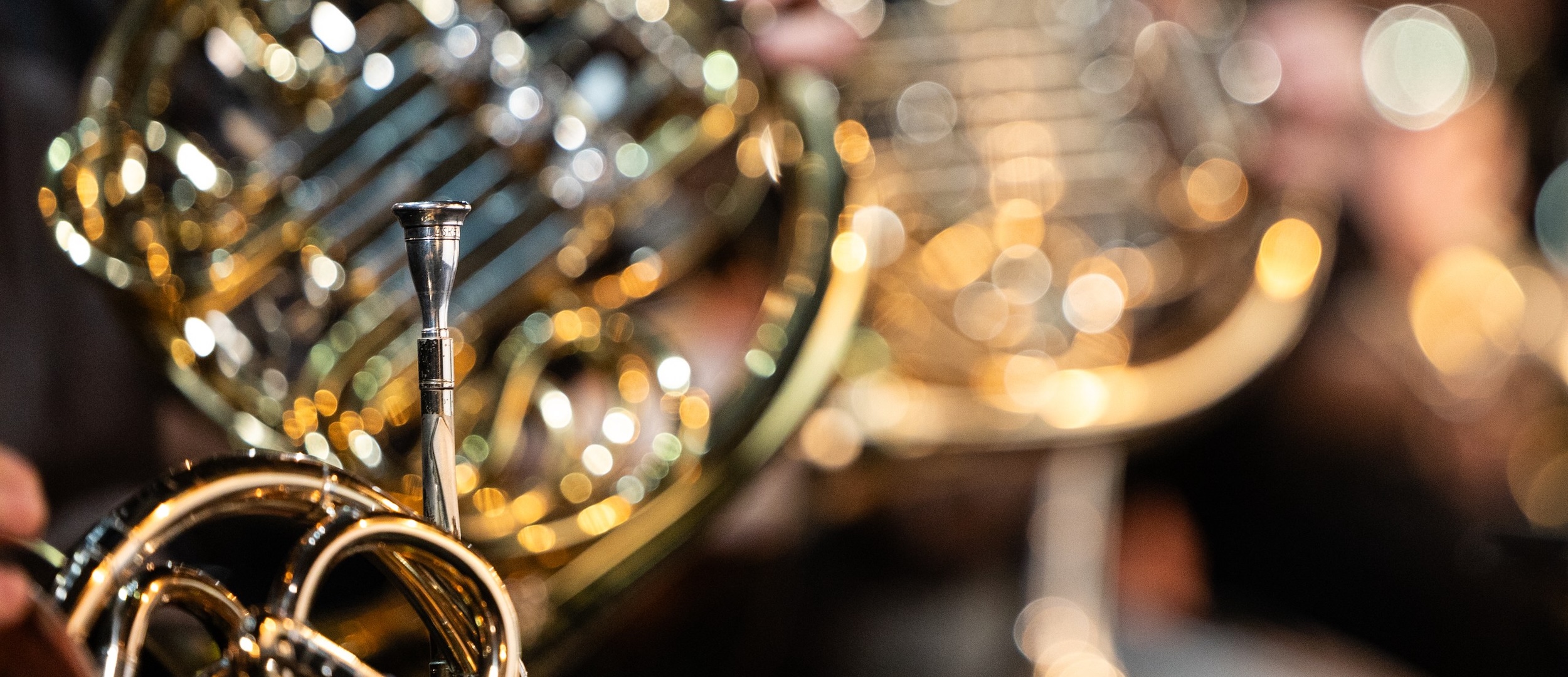 

Билеты на Неизвестный Римский-Корсаков (Новая Опера)