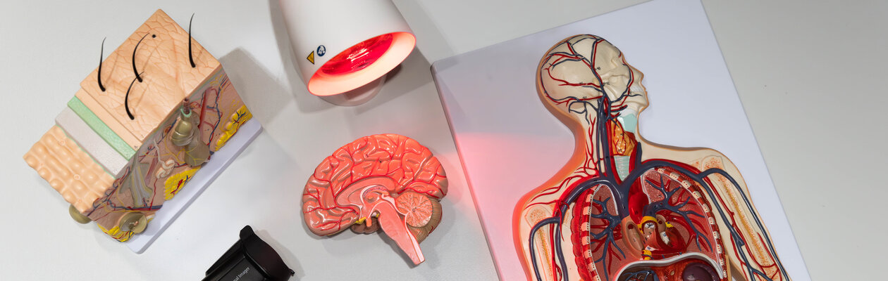 Секреты теплокровных