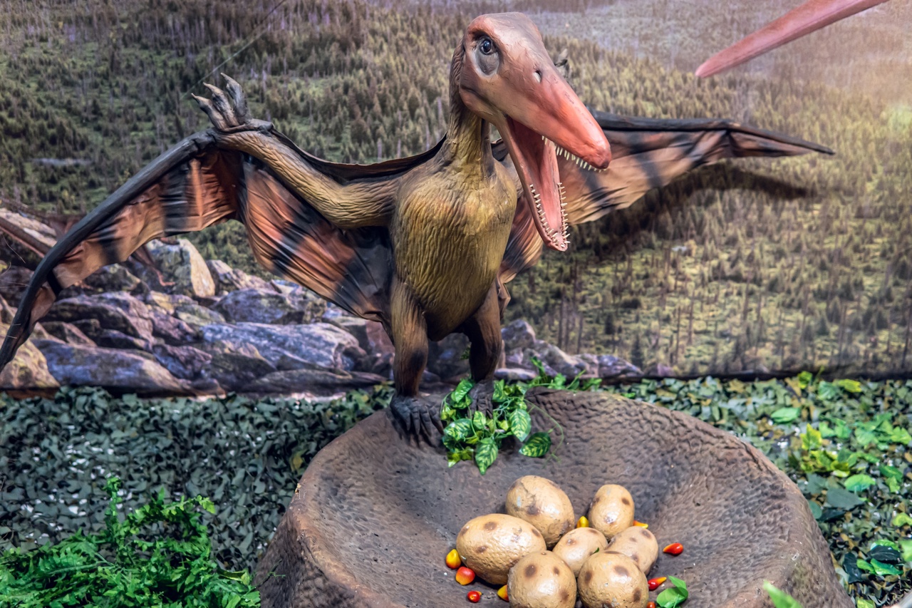 

Билеты на Вторжение динозавров (Комсомолл)