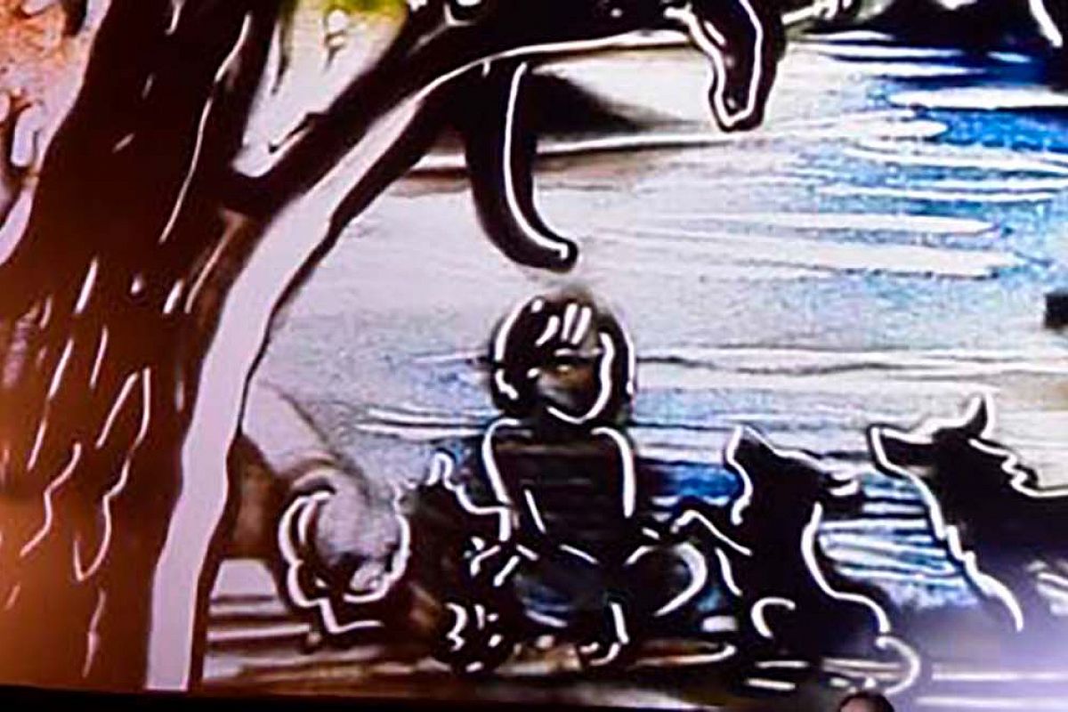 

Билеты на Сказка с органом и песочной анимацией. Маугли (Дарвиновский музей)