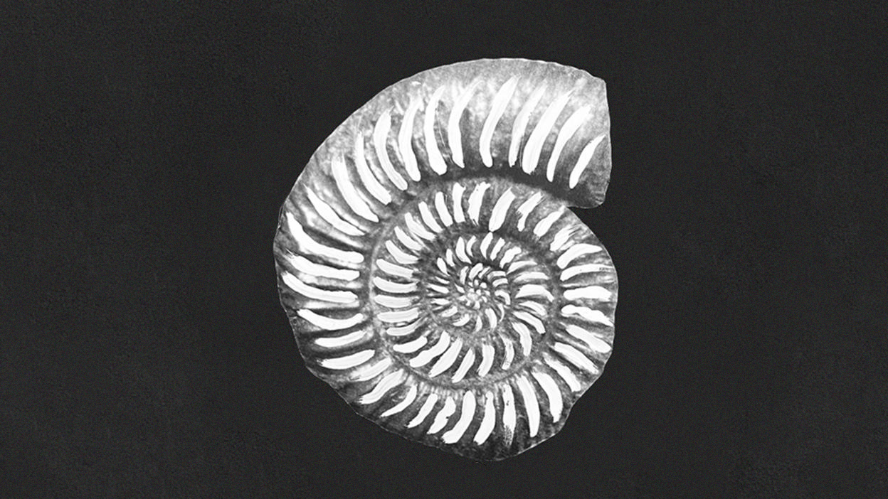 

Билеты на Плавание (ЦСИ им. Сергея Курёхина)