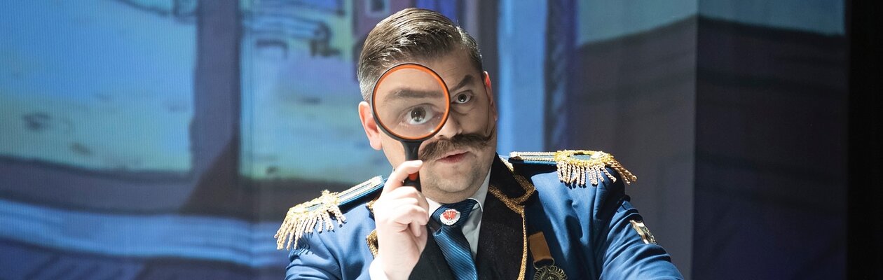 Фрёкен Сталь и горе-грабители