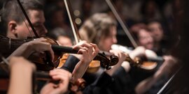 Маленький принц