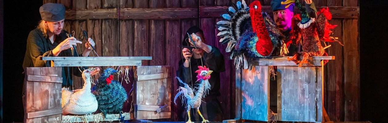 Храбрый петух по имени Али-Баба