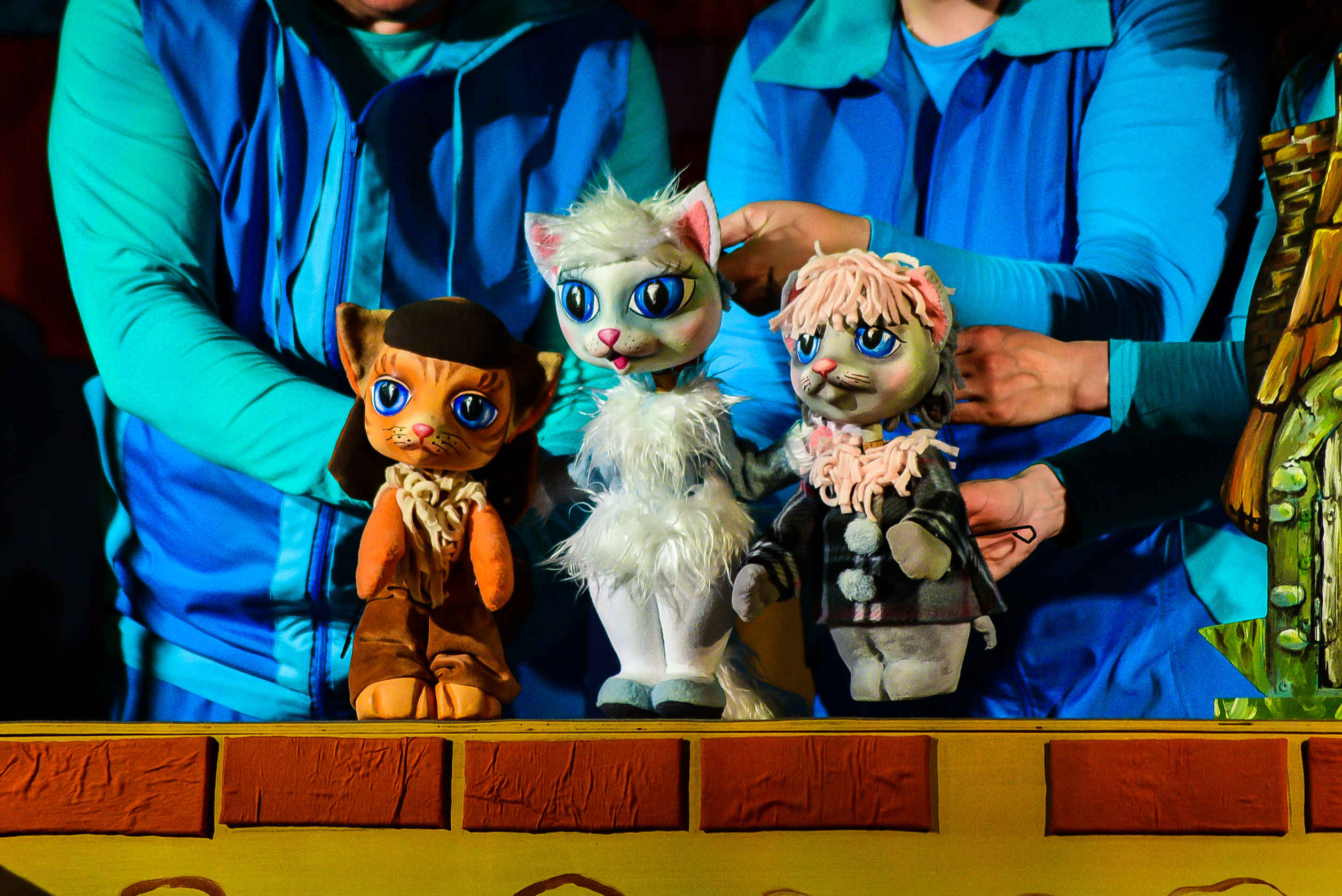 

Билеты на Кошкин дом (Камчатский театр кукол)