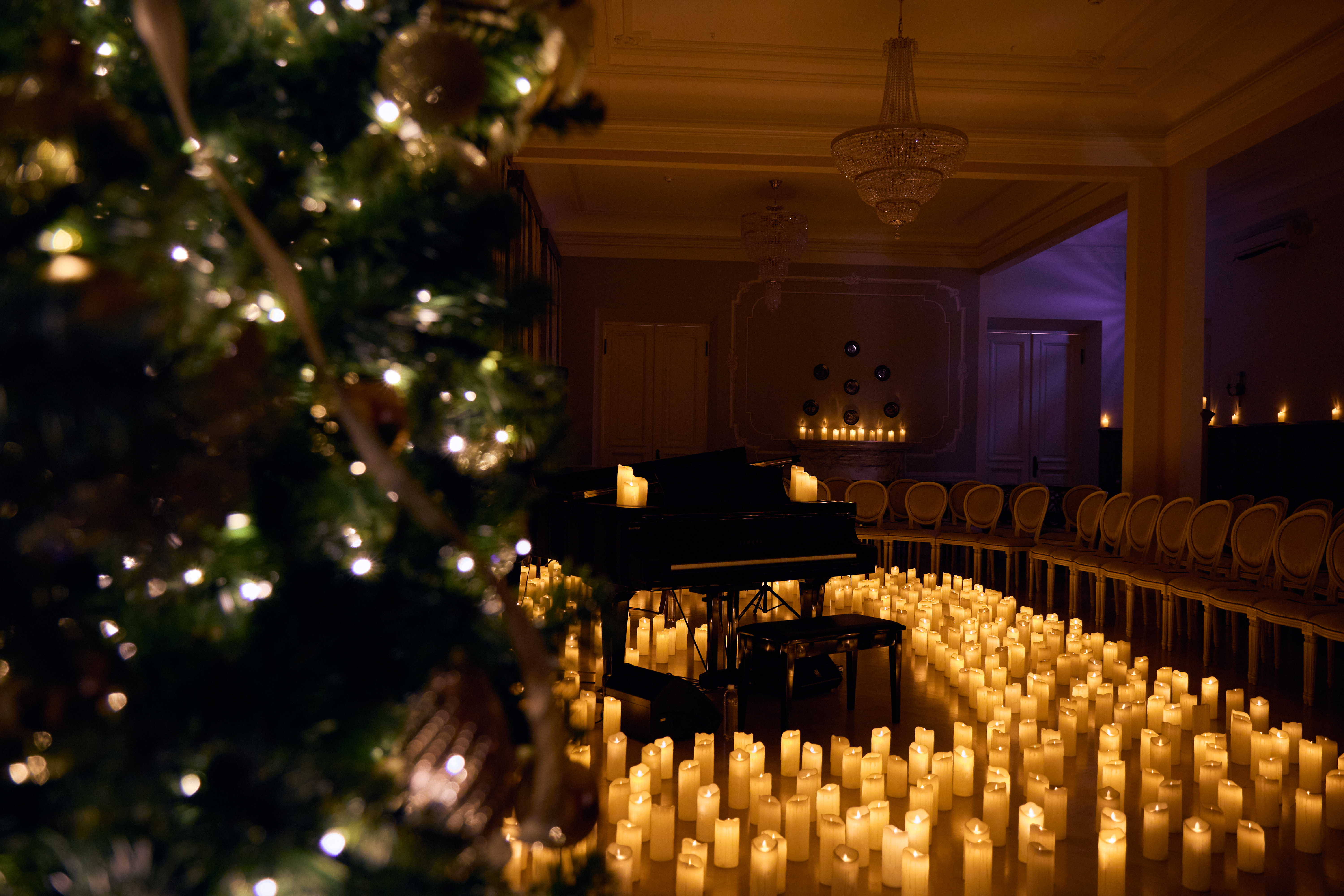 

Билеты на Фрэнк Синатра. Рождество в усадьбе (Особняк Прове)