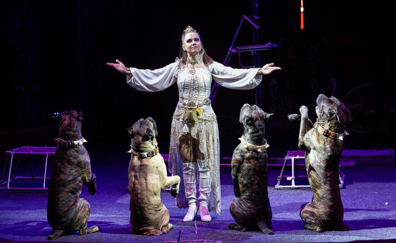 

Билеты на Цирк «Актион» (ТРЦ «Радуга»)