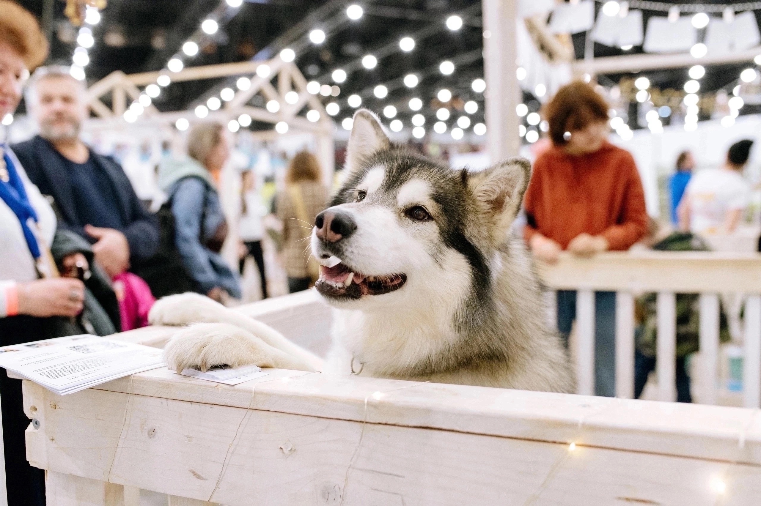 

Билеты на Зоошоу. Зима 2024 (Экспофорум)