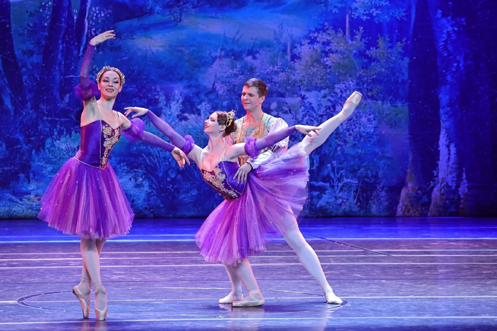 

Билеты на Лебединое озеро (Дом музыки)