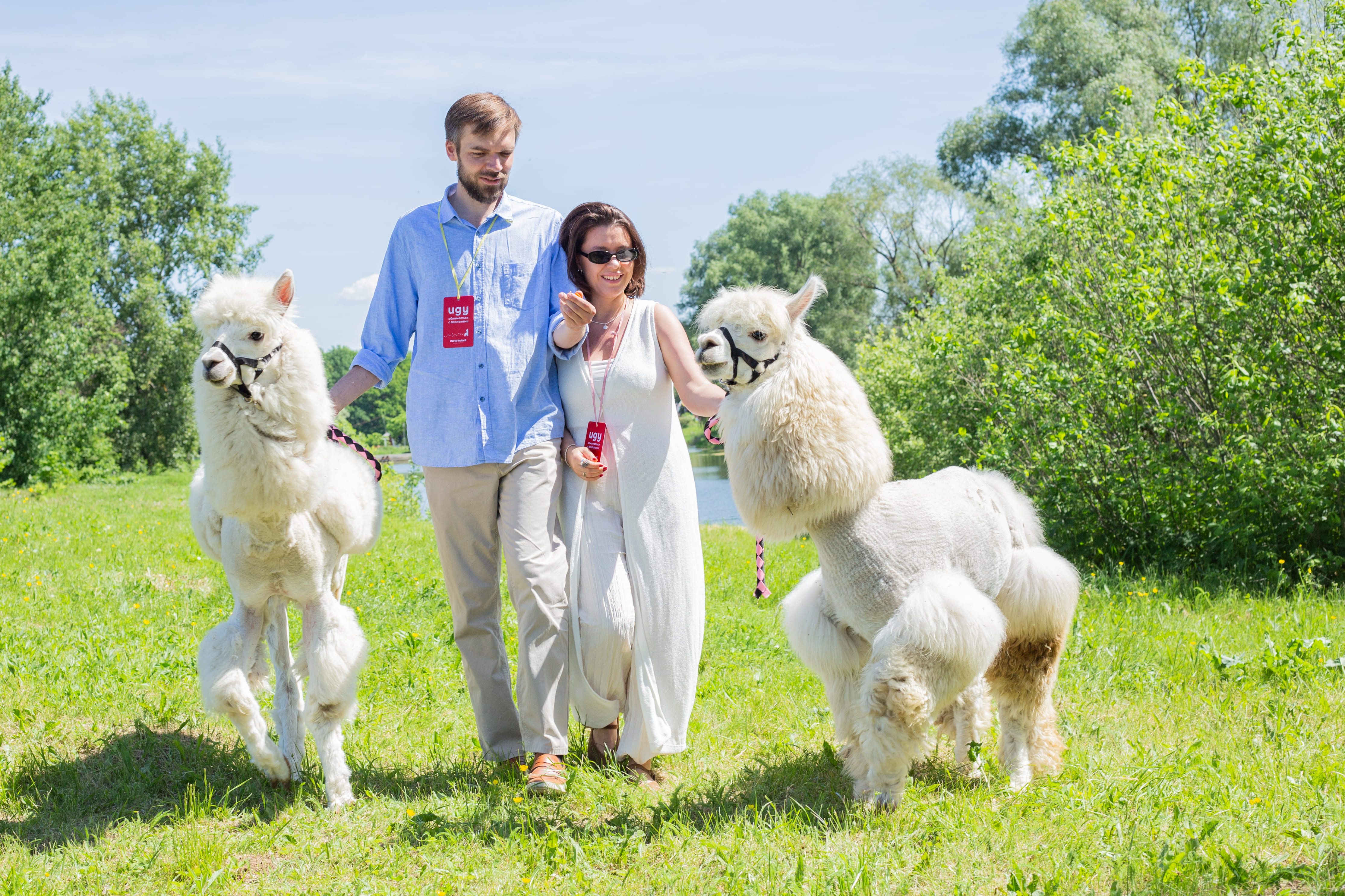 

Билеты на Альпака терапия (Парк альпак «Пача мама» (Нижние Вязовые))