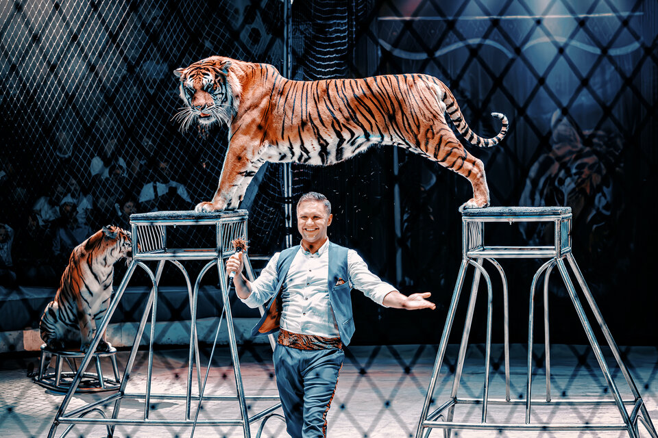 Цирк Ярослава Запашного