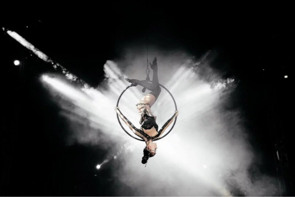 Магия львов и тигров, или Лучшая ёлка 2