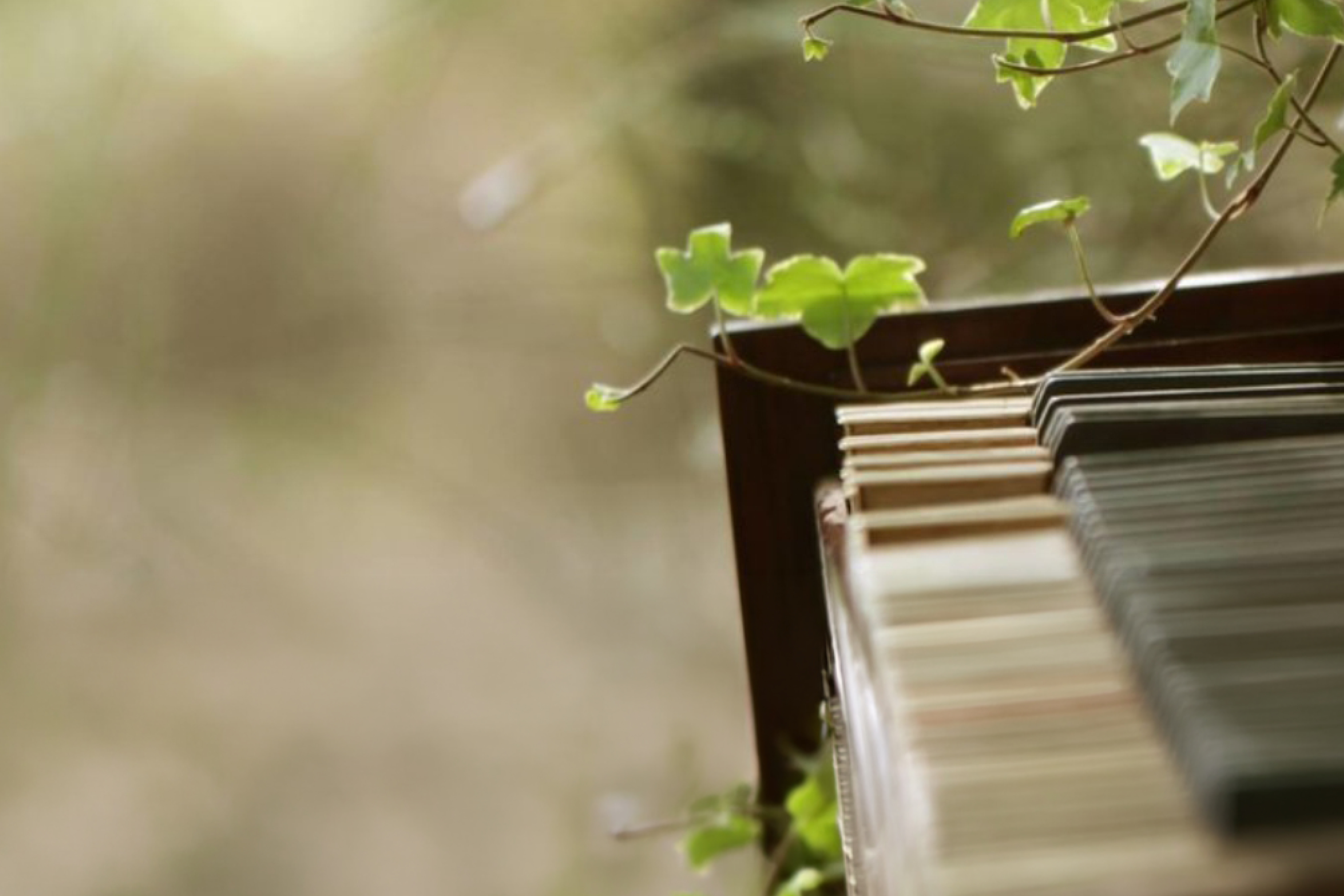 

Билеты на О чём поёт весна! (НОВАТ)