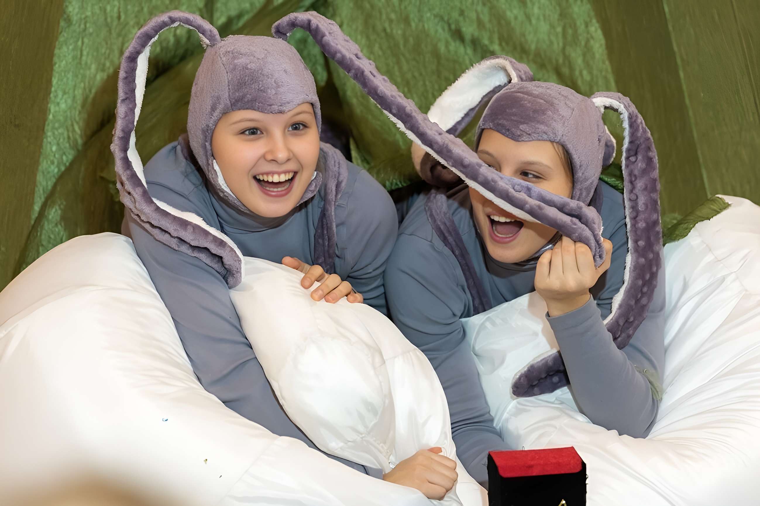 

Билеты на Мохнатое Рождество (Дом музыки)