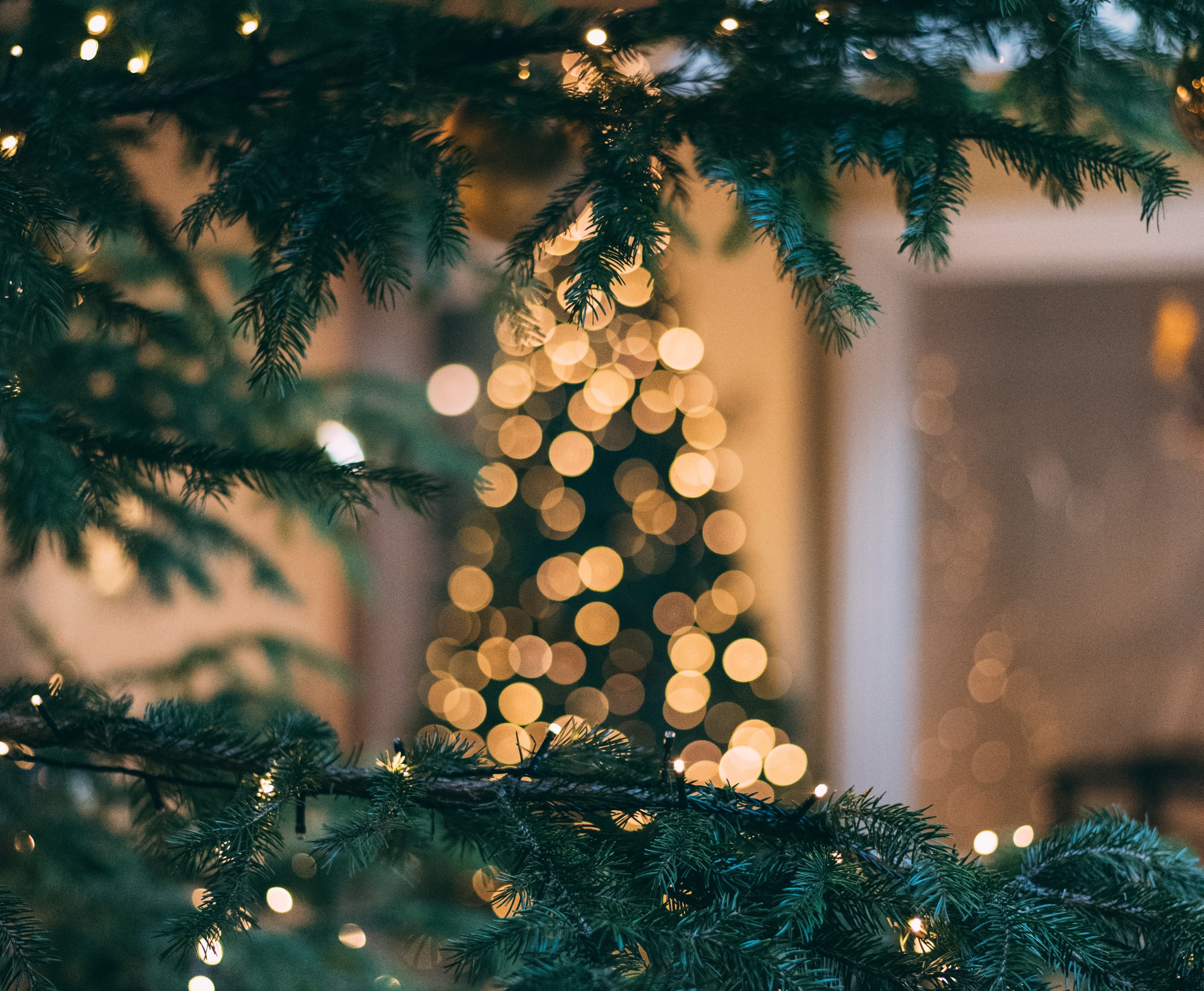 

Билеты на От звёздочки до звезды: история новогоднего праздника (Галерея современного искусства)