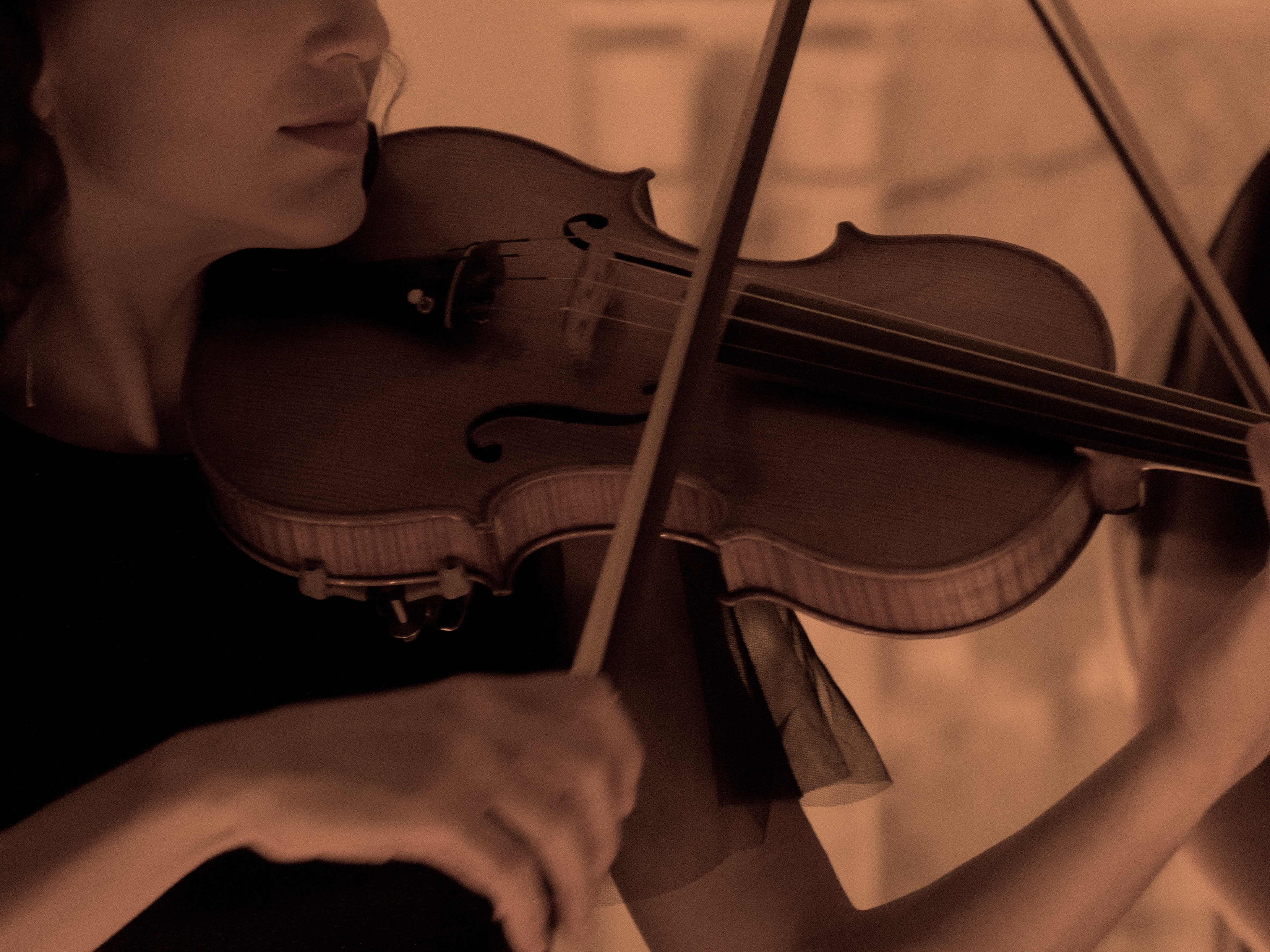 

Билеты на Магия скрипок & рождественская ёлка (Особняк Прове)