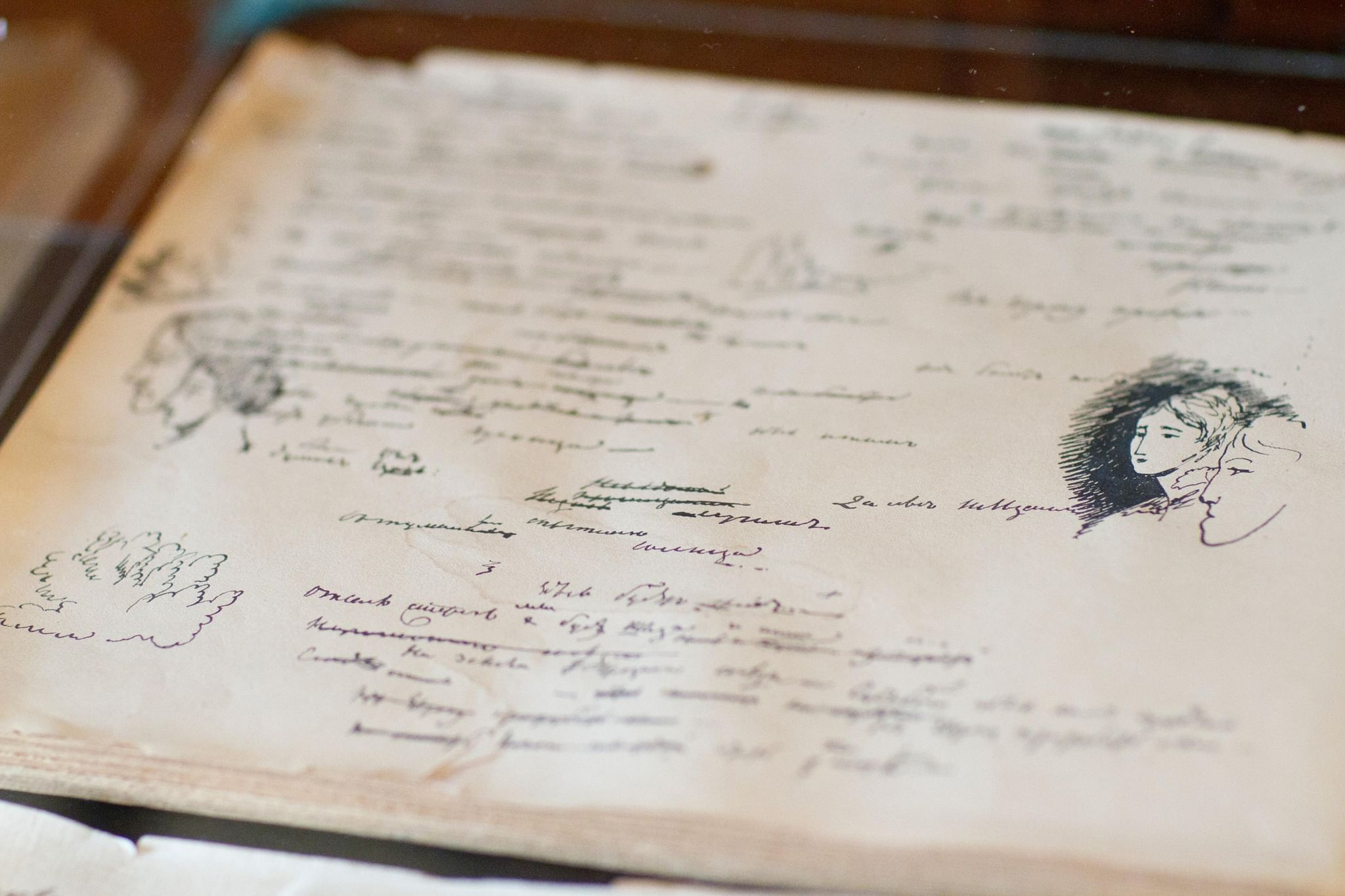 

Билеты на Пушкинский дневник (Особняк купца Носова)