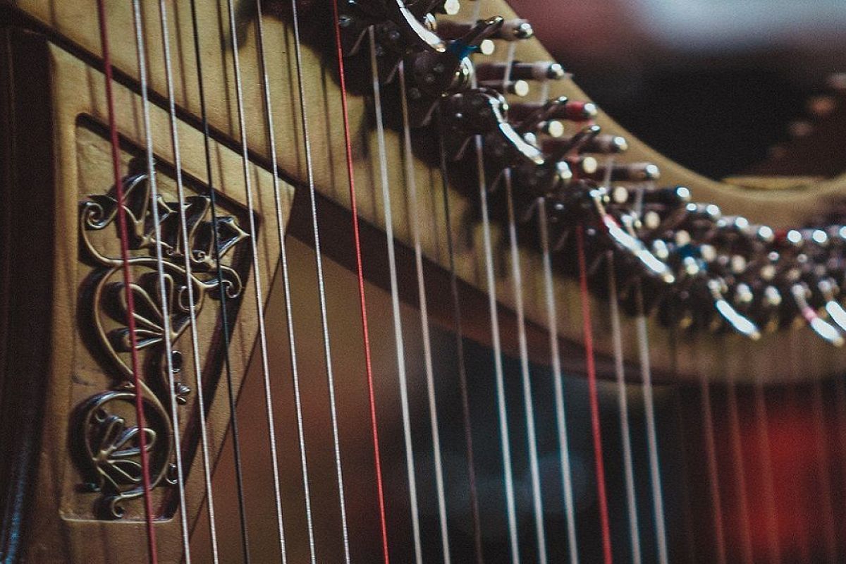 

Билеты на World music в Кафедральном. Кельтские легенды: орган и кельтские арфы (Кафедральный собор Святых Петра и Павла)