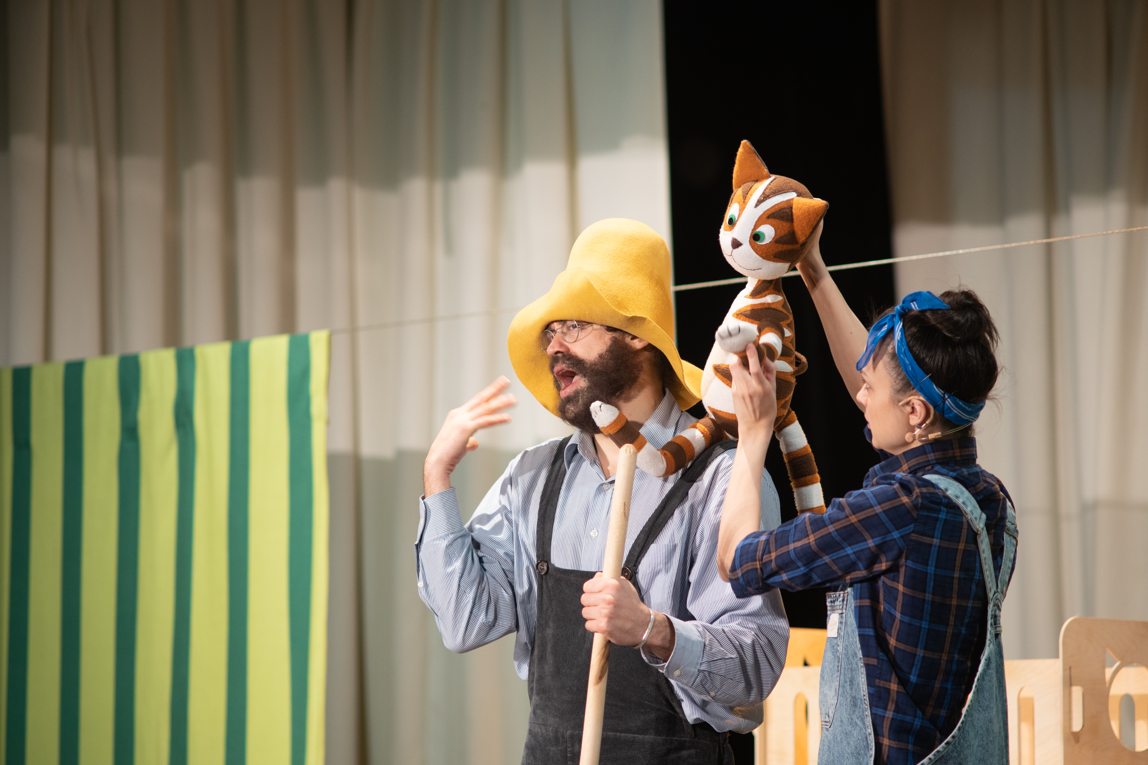 

Билеты на Петсон и Финдус (ДК им. Горбунова)