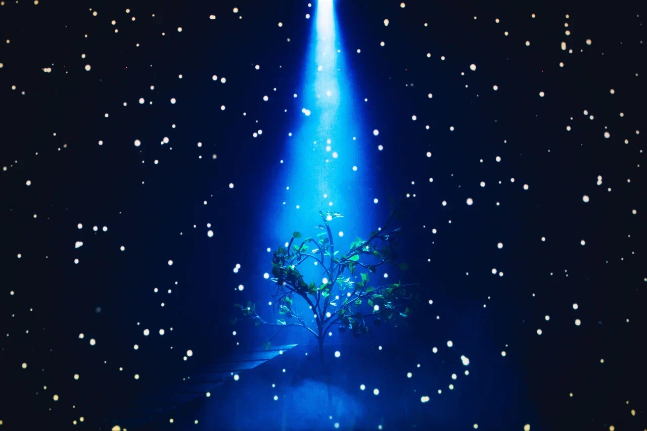 

Билеты на Любовь и голуби (ДК профсоюзов)