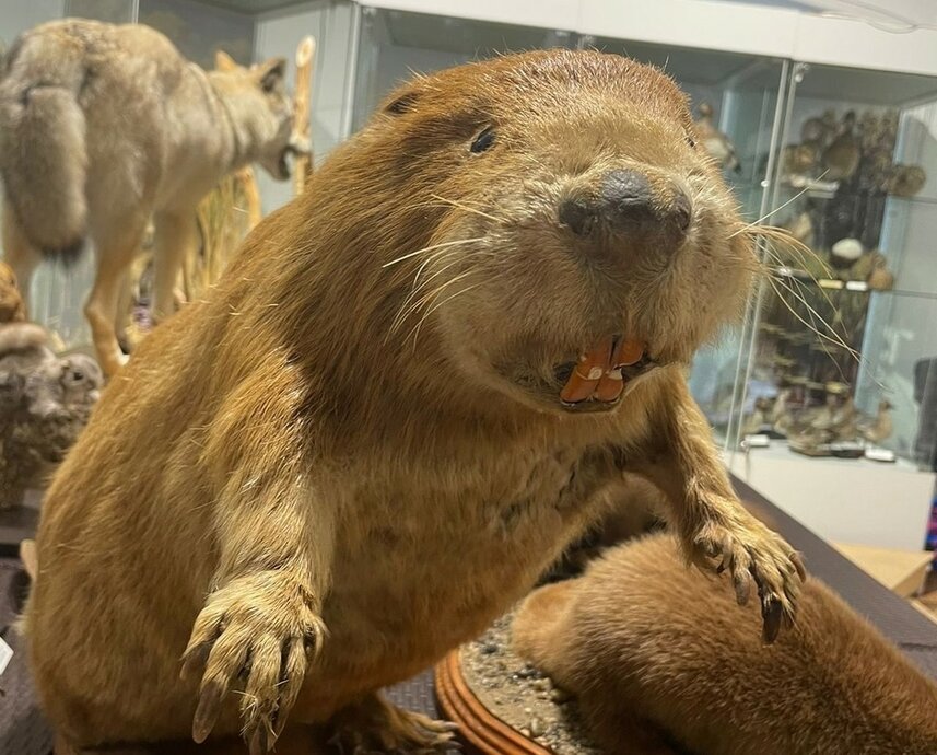 Мы — то, что мы едим