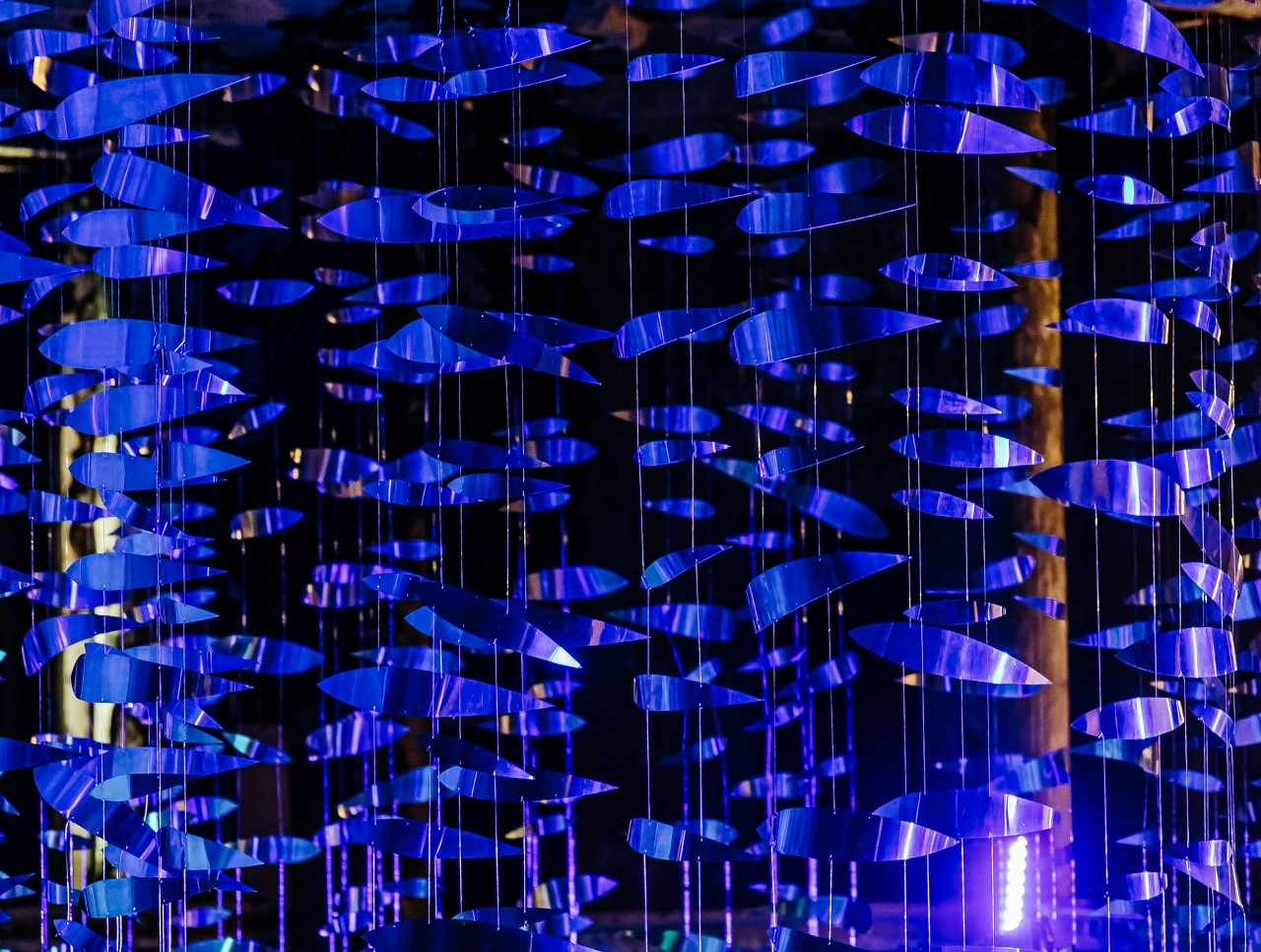 

Билеты на Потоп (Понарт)