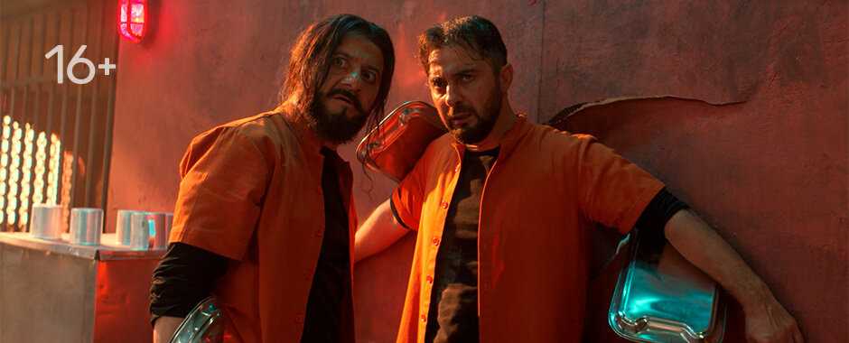 Королёк моей любви