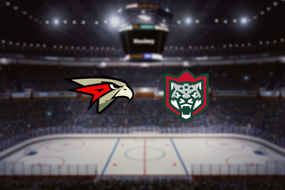 Омские Крылья — Барс