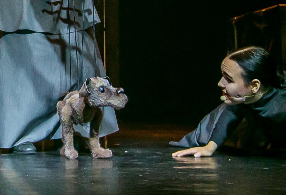 

Билеты на Каштанка (Арлекин)