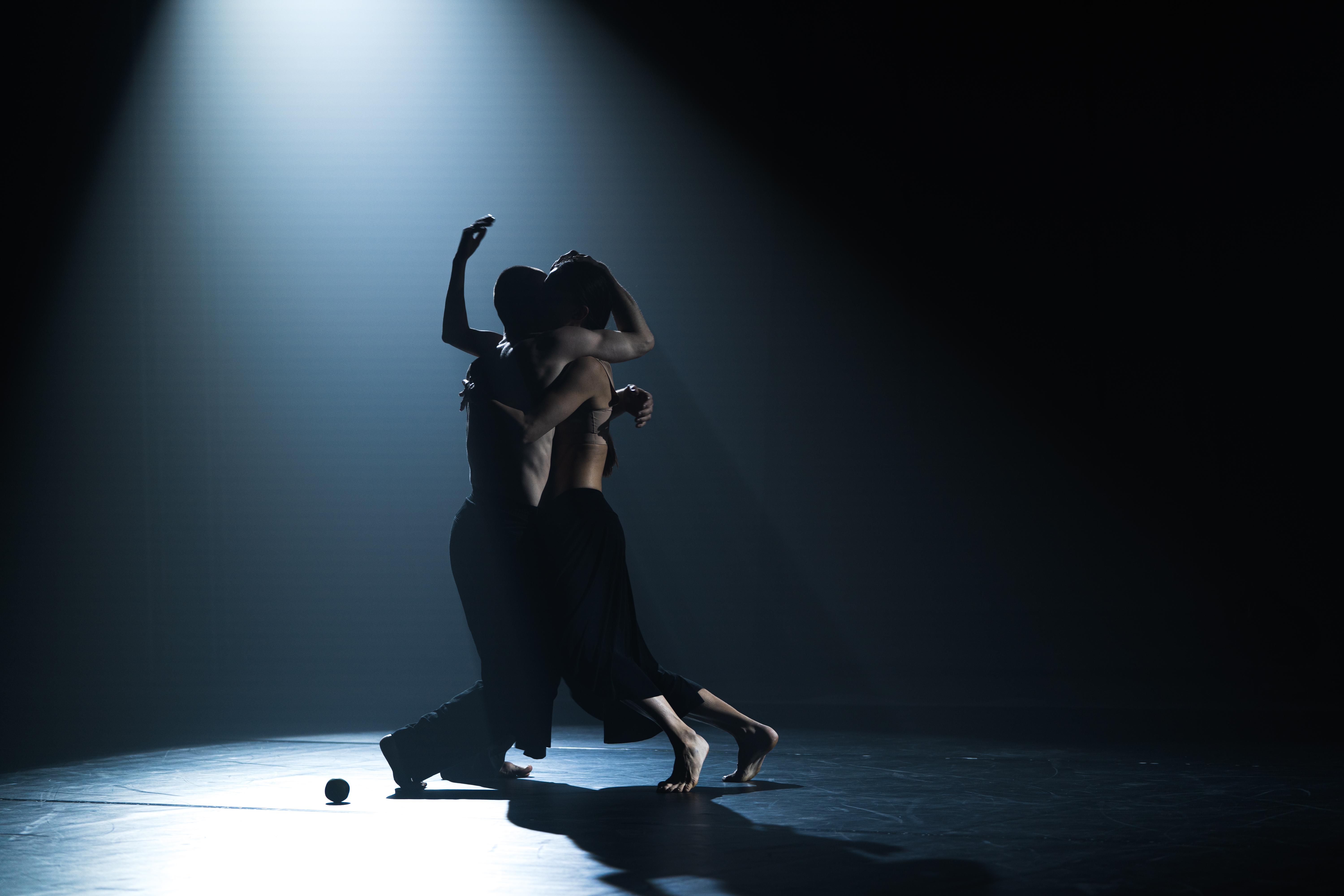 

Билеты на musicAeterna Dance and Friends (Новая сцена Александринского театра)