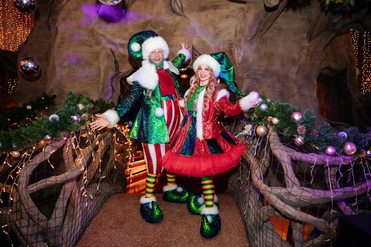 

Билеты на Новогодние каникулы в Дримвуд (Мрия)