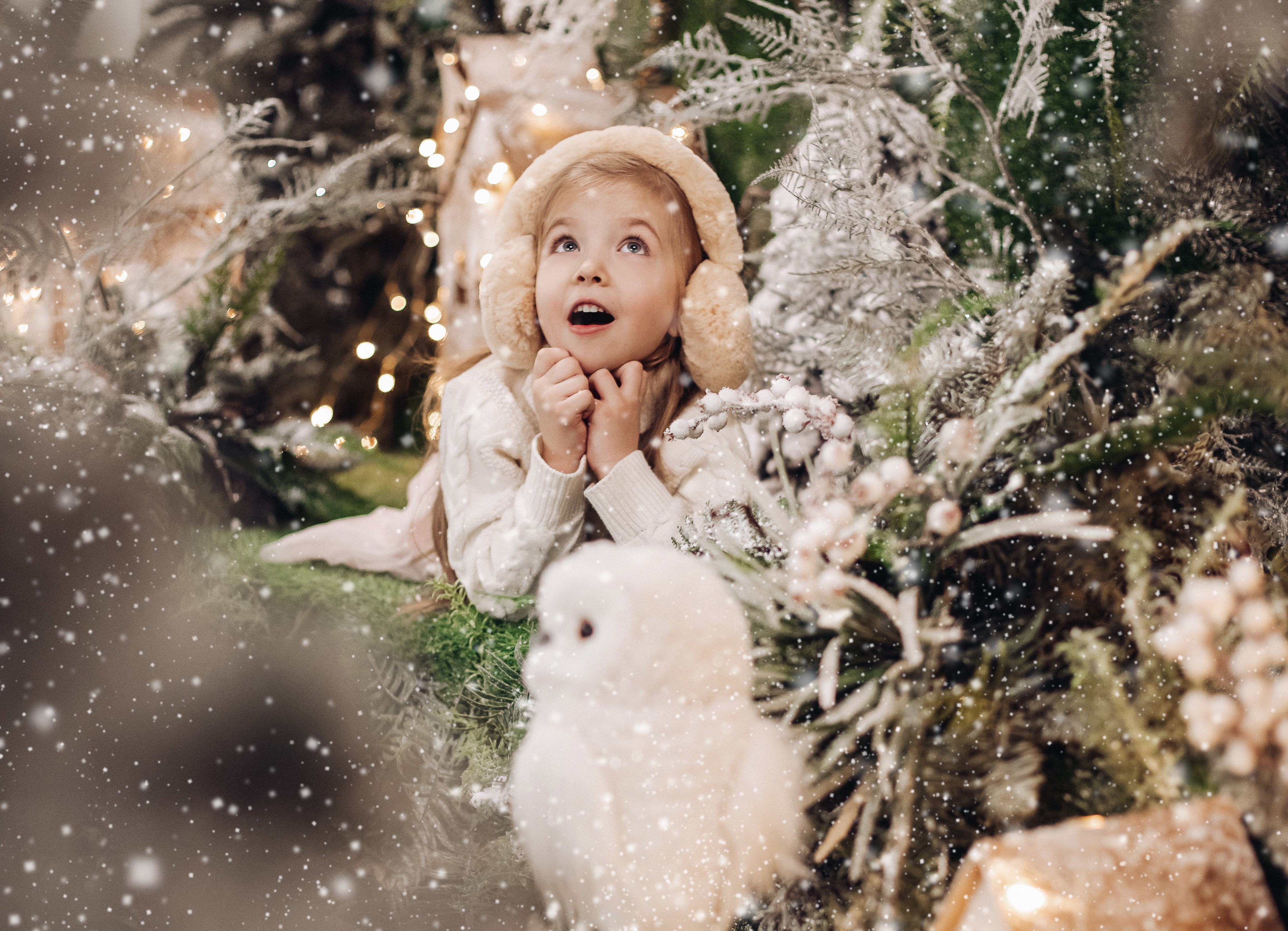 

Билеты на Новый год в сапогах (Театр балета «Щелкунчик»)